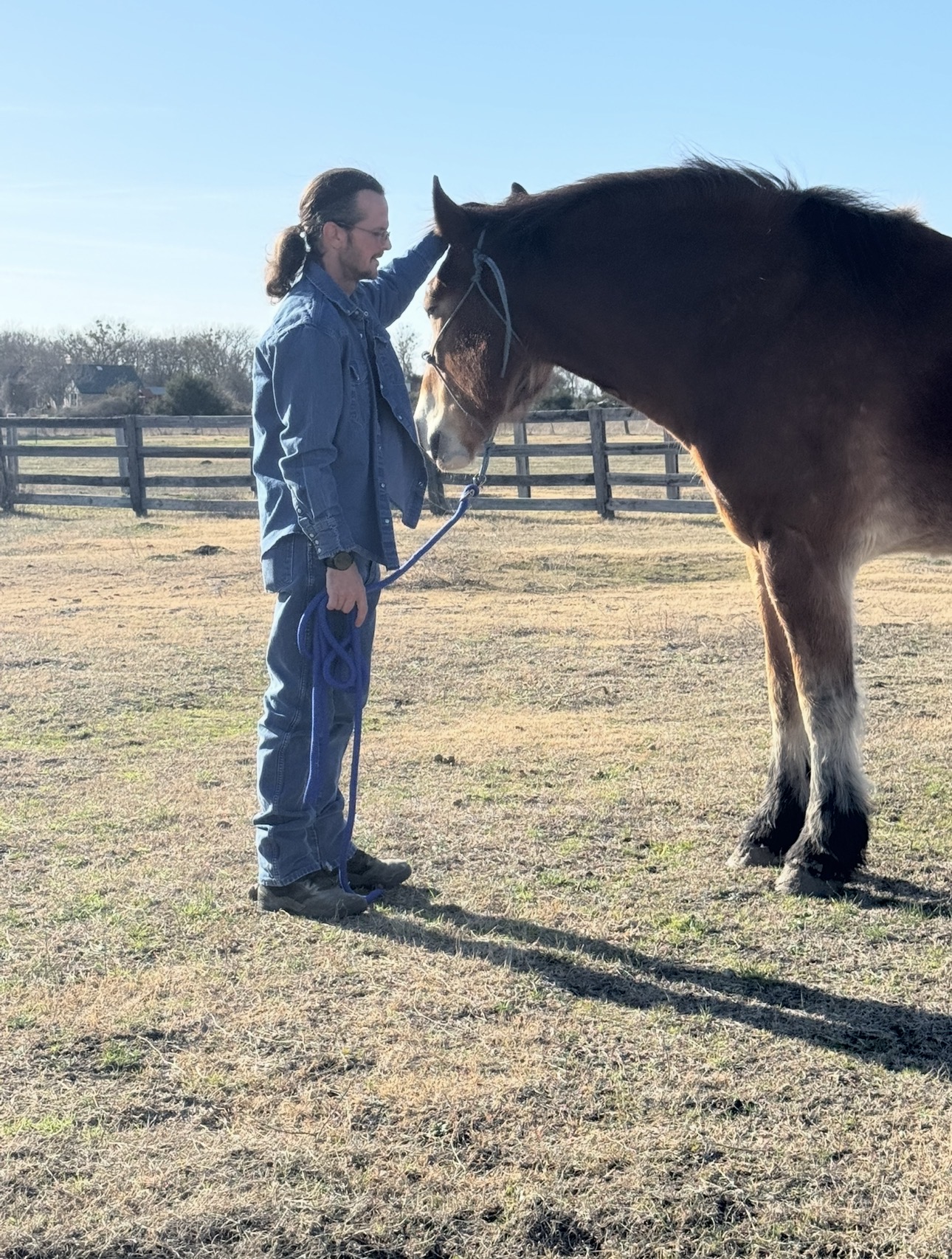 Person standing outdoors with a horse, holding its reins, on a grassy field with a fence and blue sky.