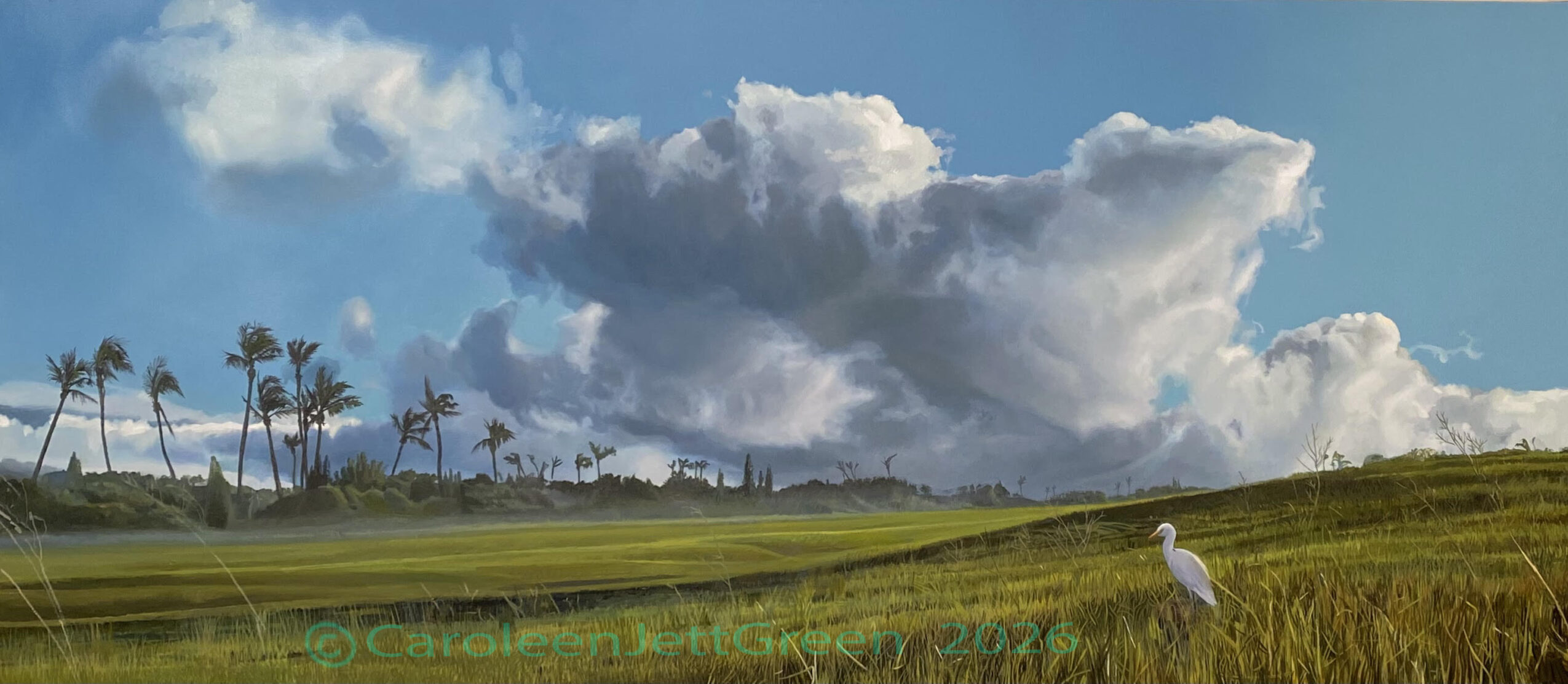 Landscape with green fields, a white bird, and a sky with large clouds and some palm trees in the distance.