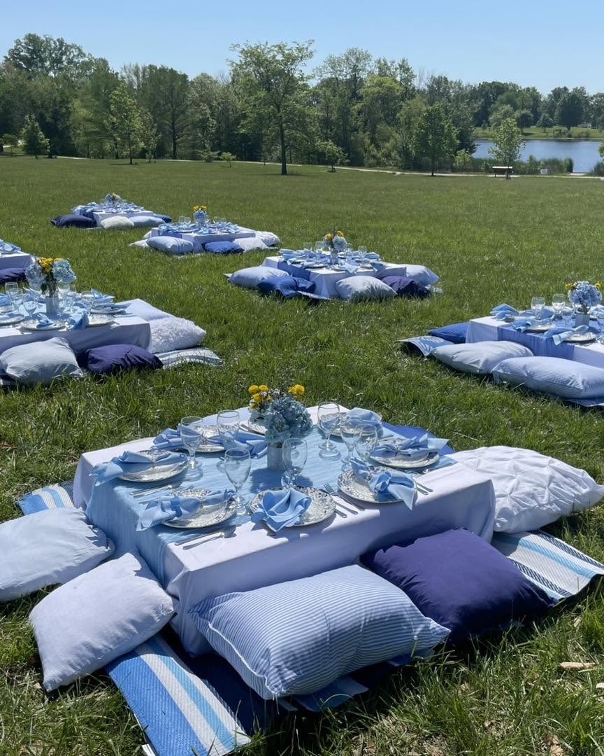 Outdoor picnic setup with tables on cushions and pillows on grass, with trees and water in the background.
