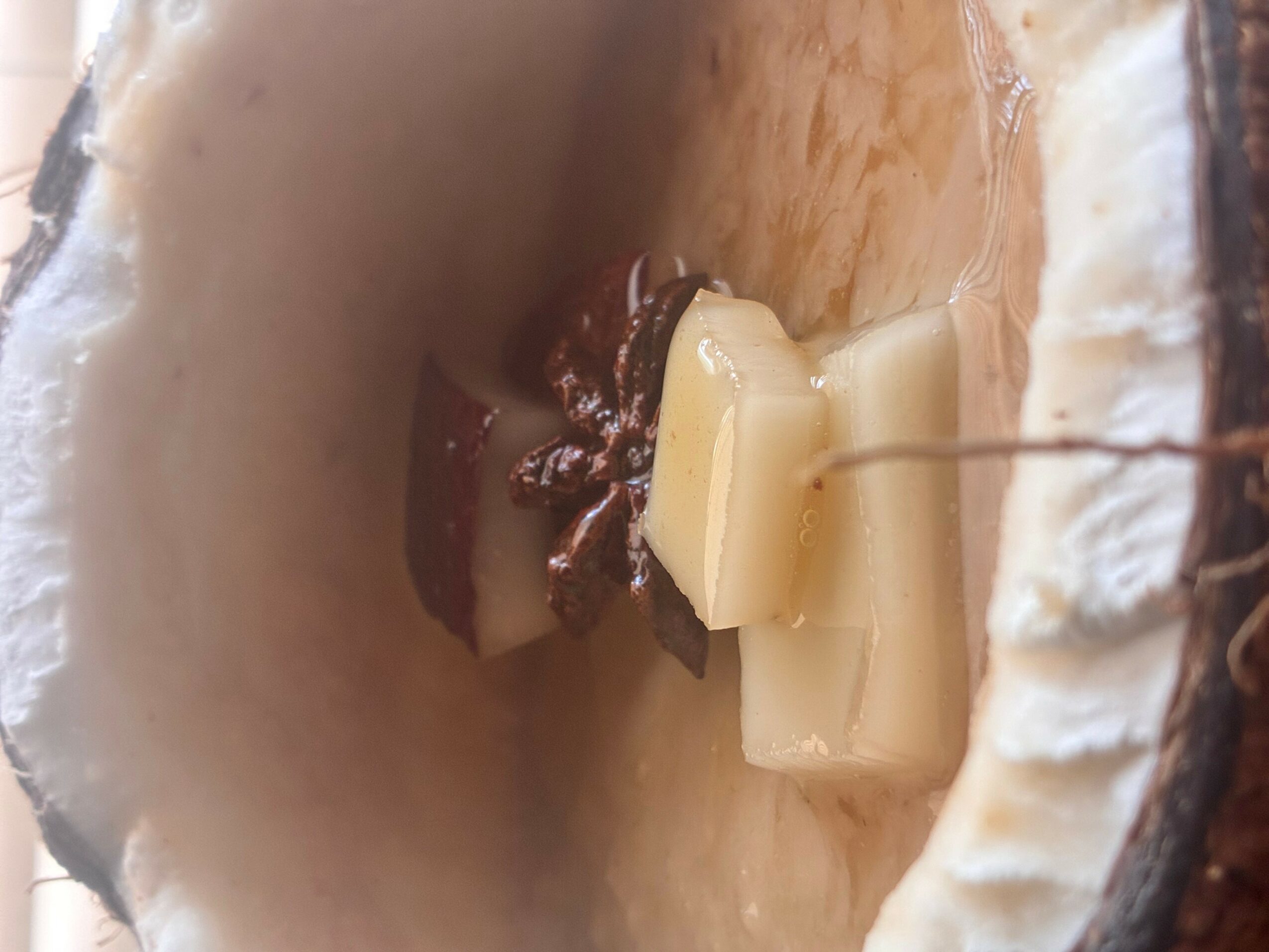 Close-up of a coconut with a small device inserted inside, showing the interior and outer shell.