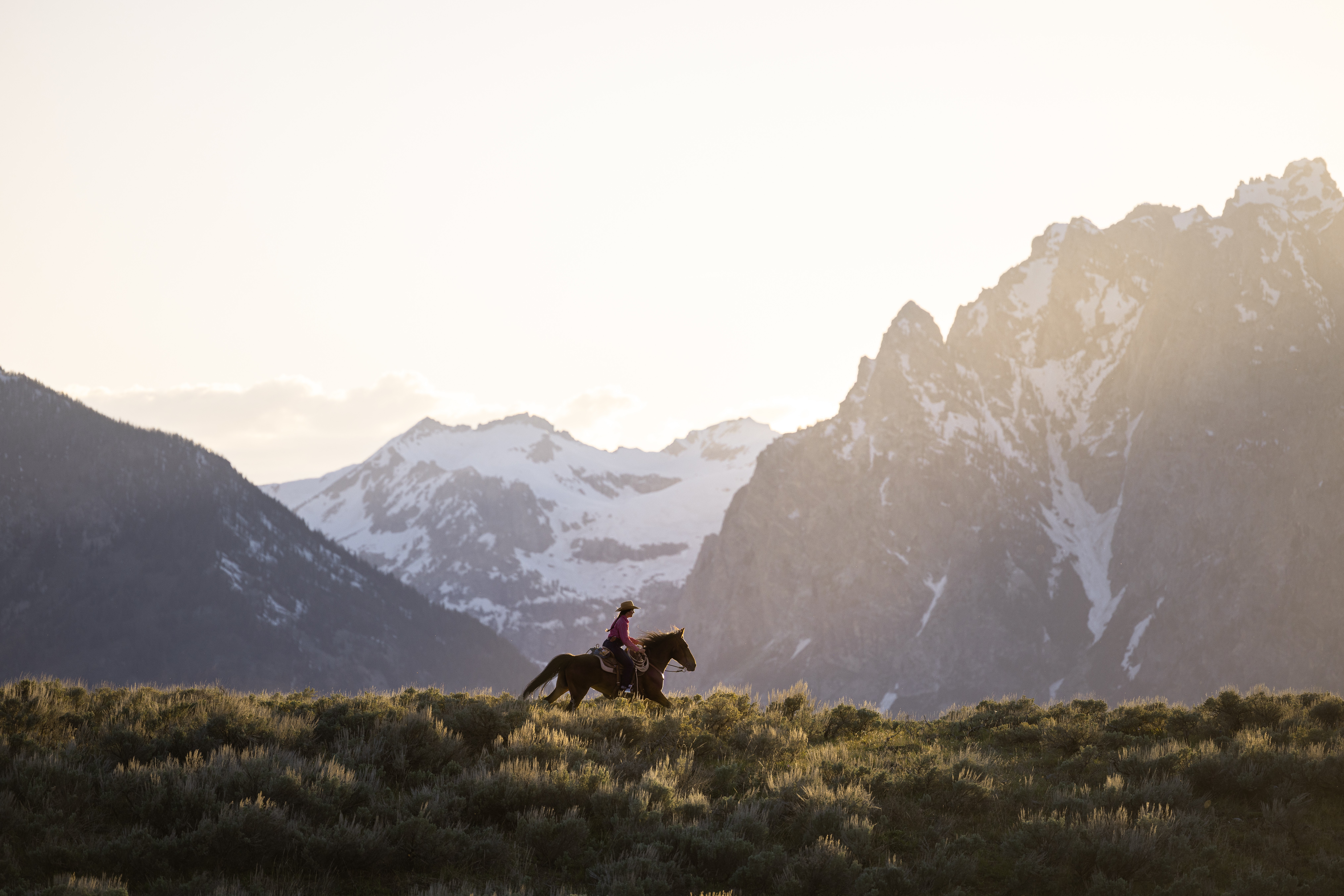 Person riding a horse in a grassy field with snow-capped mountains in the background.