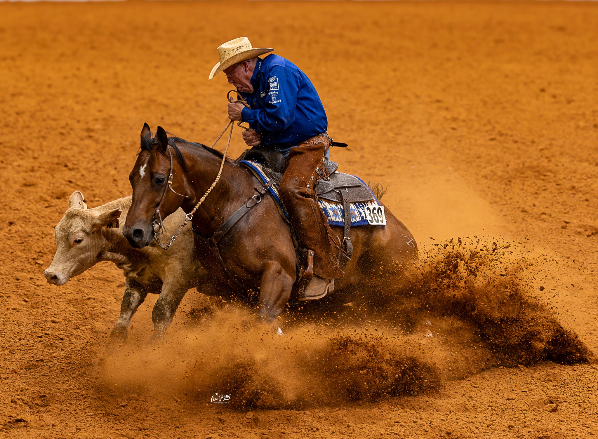 Cowboy riding a horse chases a calf on a dirt arena, kicking up dust, wearing a hat and blue shirt.
