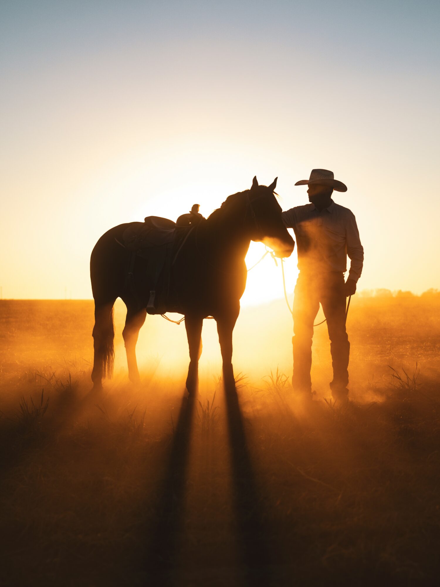 Person with a hat standing next to a horse during sunset, with warm light and long shadows.