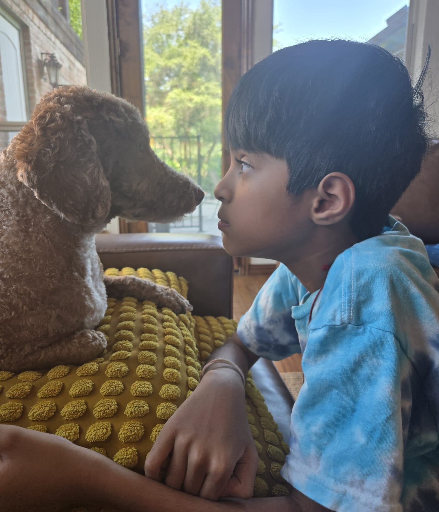 A boy and a dog face each other indoors near a window, with the boy resting his arm on a yellow textured surface.