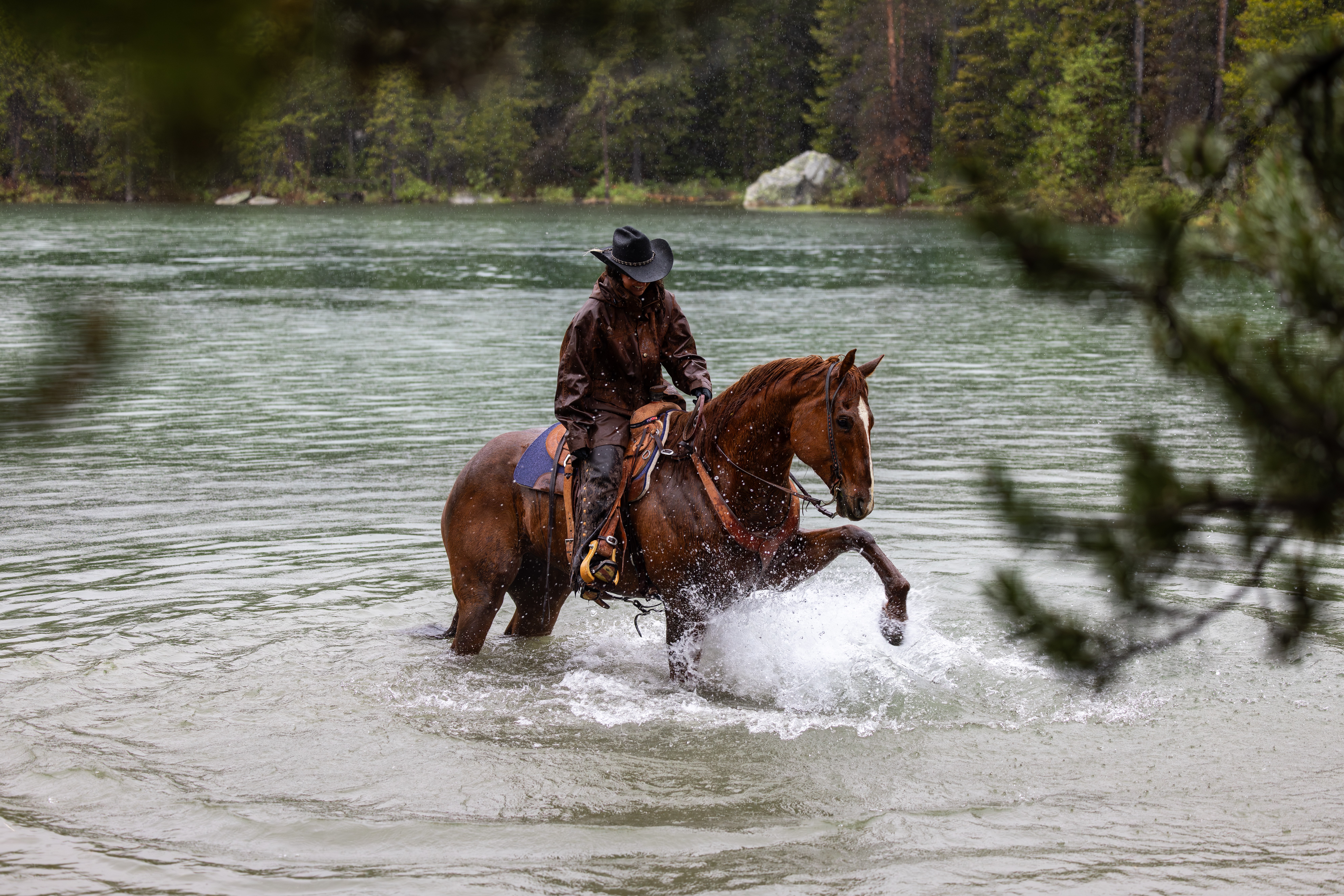 Person riding a horse through a river with trees in the background.