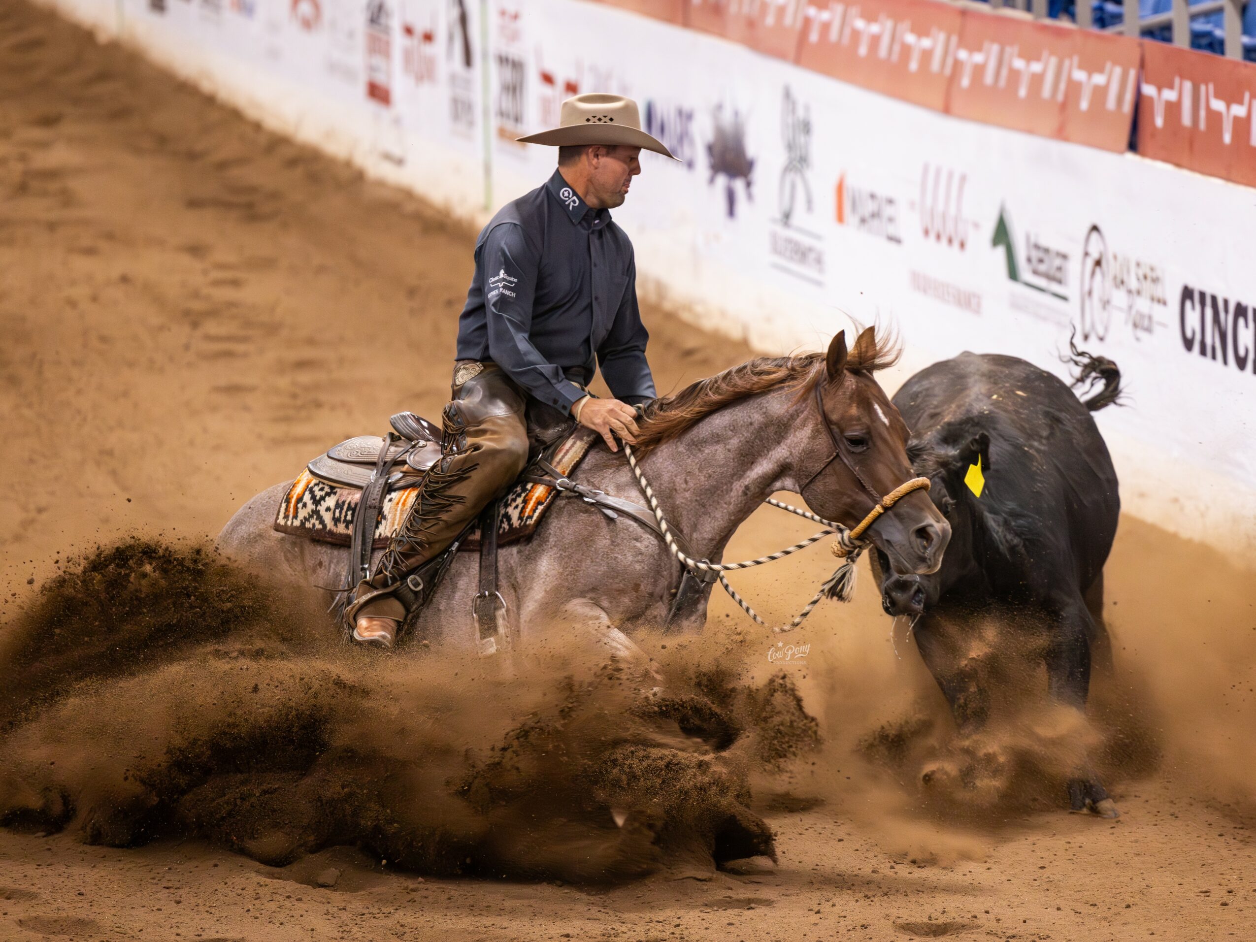 Cowboy riding a horse in a rodeo, chasing a calf on dirt arena, with banners in background.
