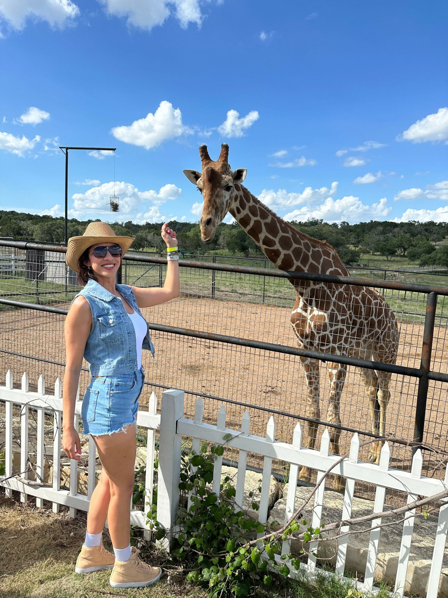 Girl in denim dress standing near a white fence, giraffe reaching over fence, blue sky with clouds in background.