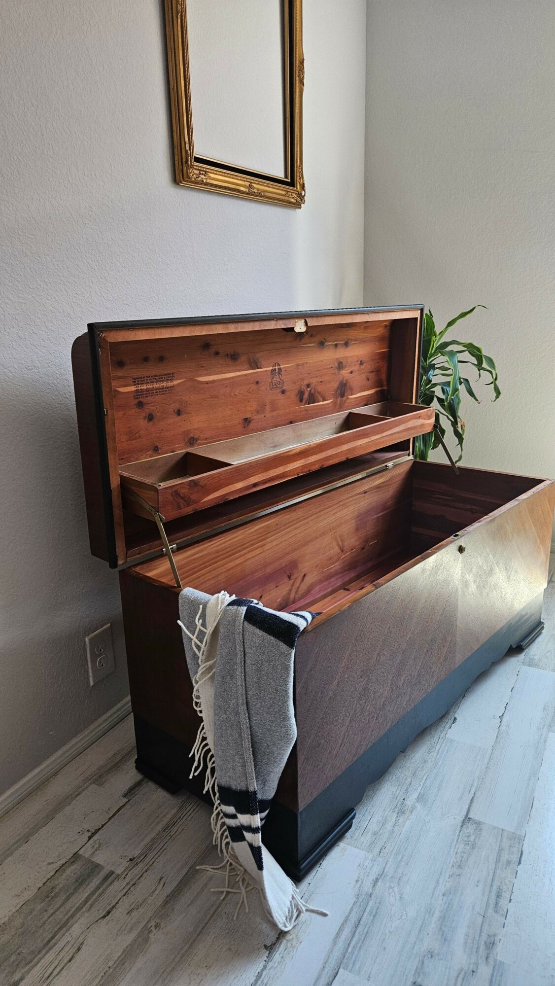 Wooden drawer partially pulled out from a dark-colored cabinet, with a plant and picture frame nearby, on a light-colored floor.