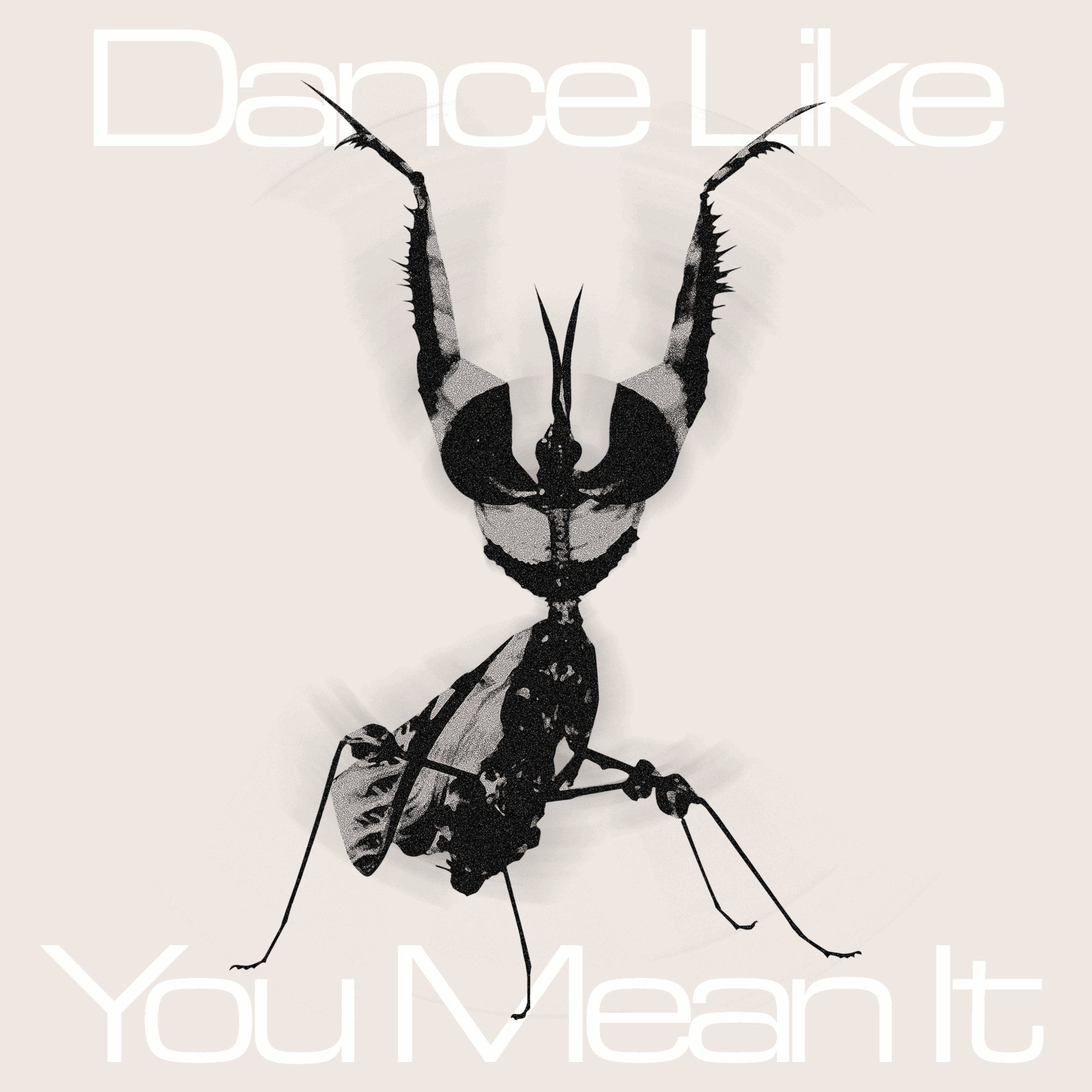 A black insect with elongated antennae and detailed body, with text saying 'Dance Like You Mean It' at the top and bottom.