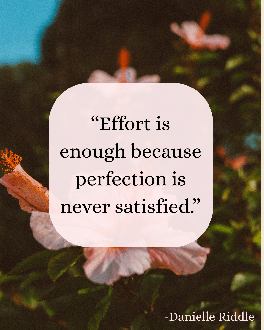 Quote about effort and perfection over pink flowers and green foliage, with a blurred background.