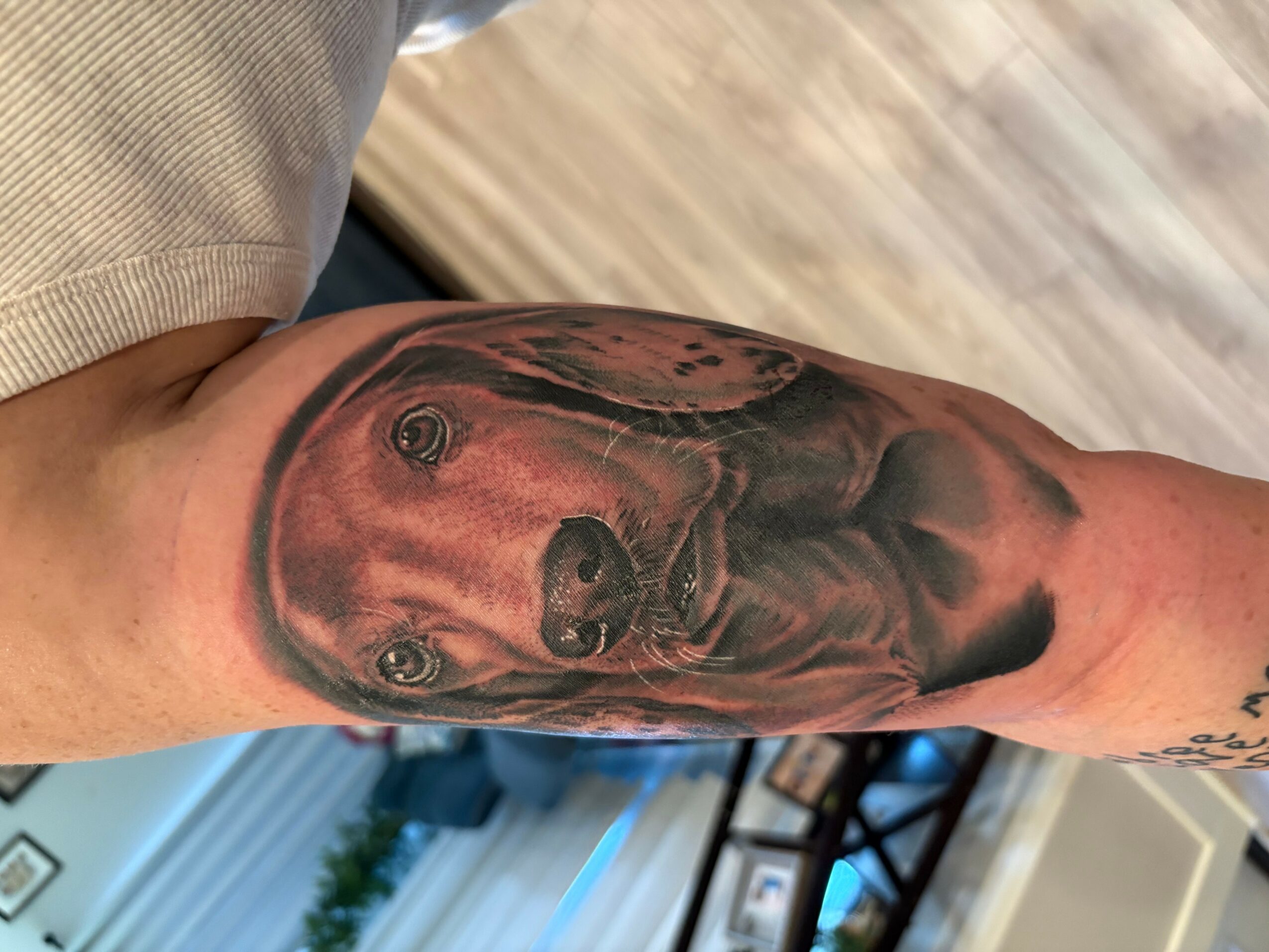 Tattoo of a dog's face on a person's arm, showing detailed shading and realistic features.