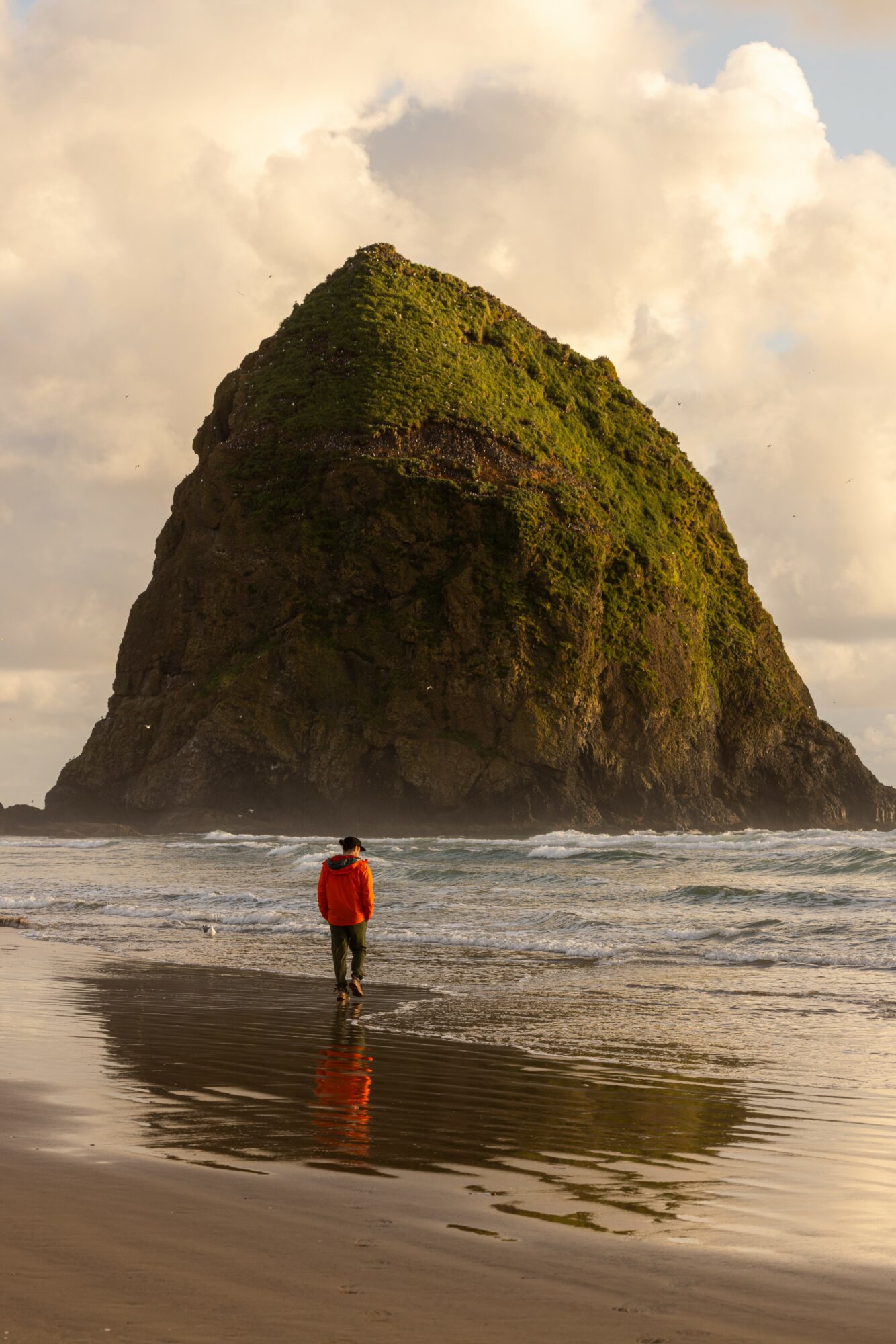 Person in red jacket standing on beach with large green-covered rock formation in background, reflected in wet sand.