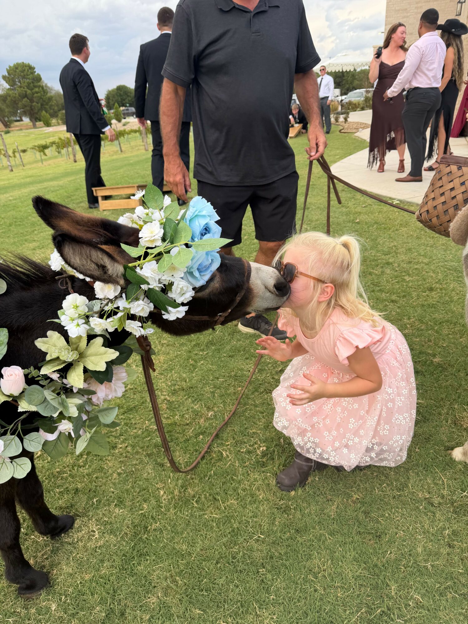 Girl in pink dress leaning down to pet a dog with a flower arrangement on a leash, people in background on grass
