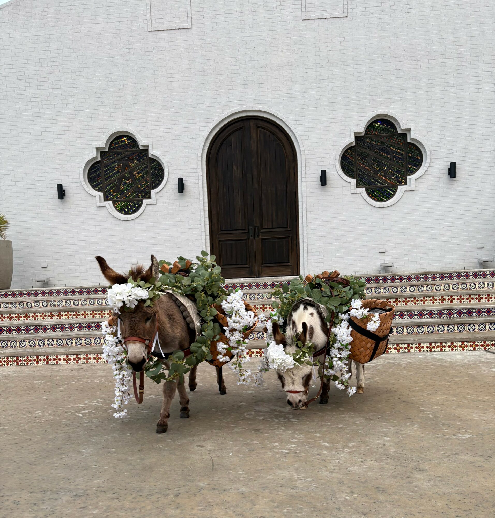 Two donkeys decorated with flowers and greenery stand in front of a white building with a wooden door and decorative windows.