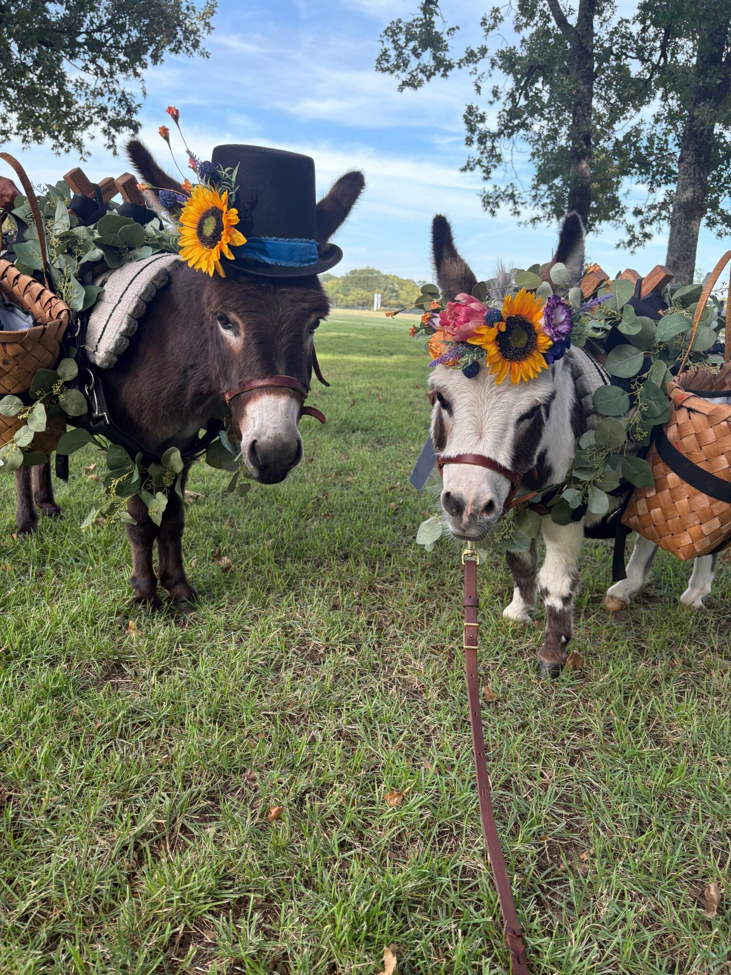 Two donkeys with flower crowns, standing on grass in a field, with trees and a cloudy sky in the background.