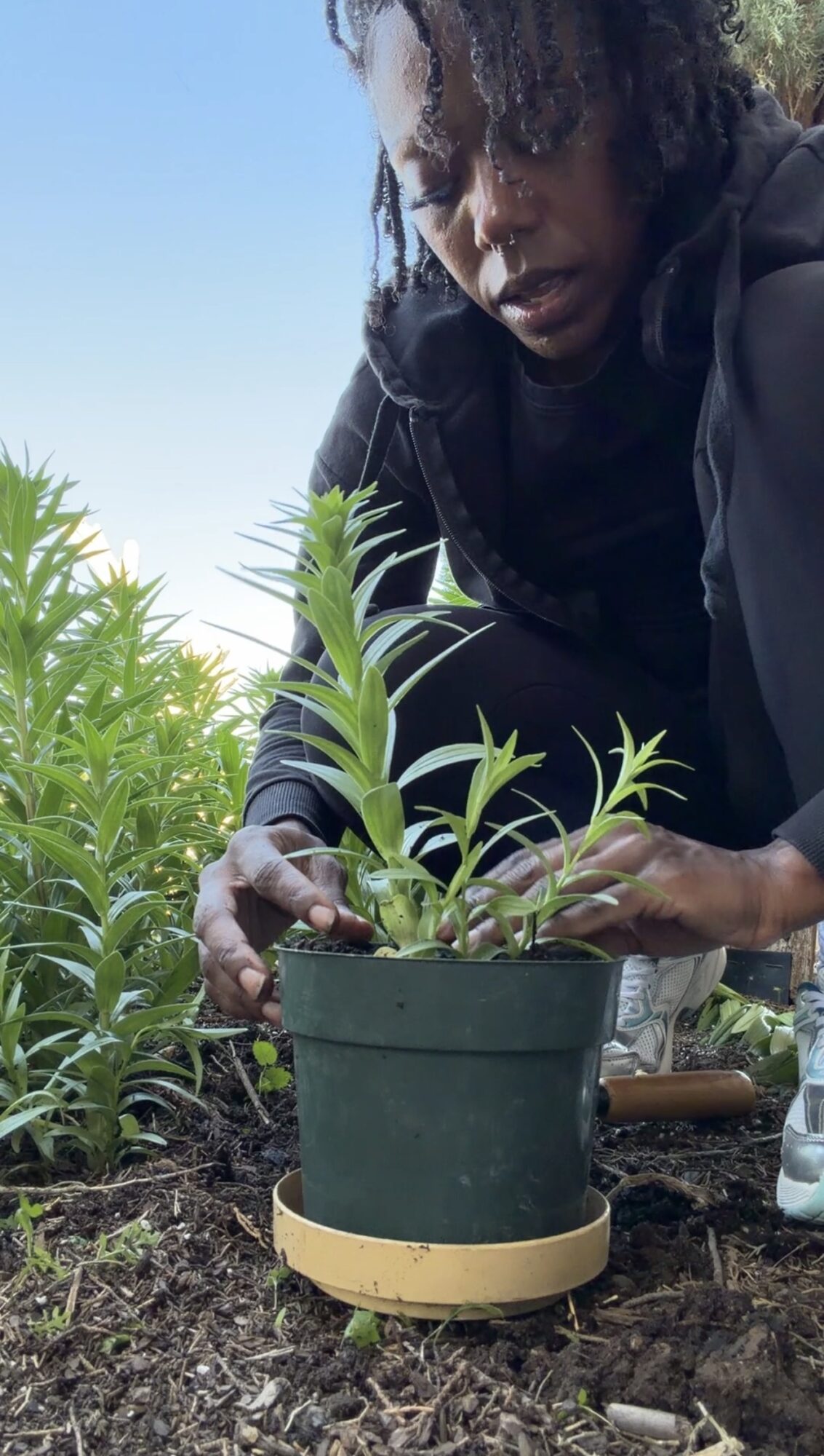 Person tending to a potted plant outdoors, surrounded by greenery, with a clear sky in the background.