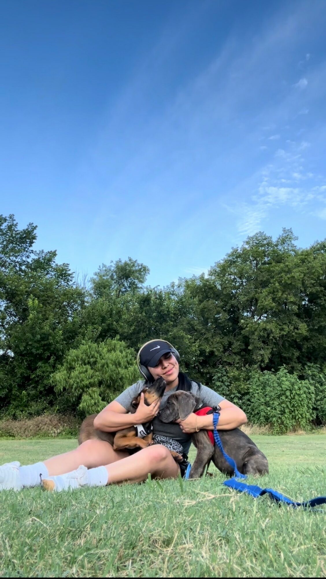 Person sitting on grass with two dogs, surrounded by trees and a blue sky with clouds.