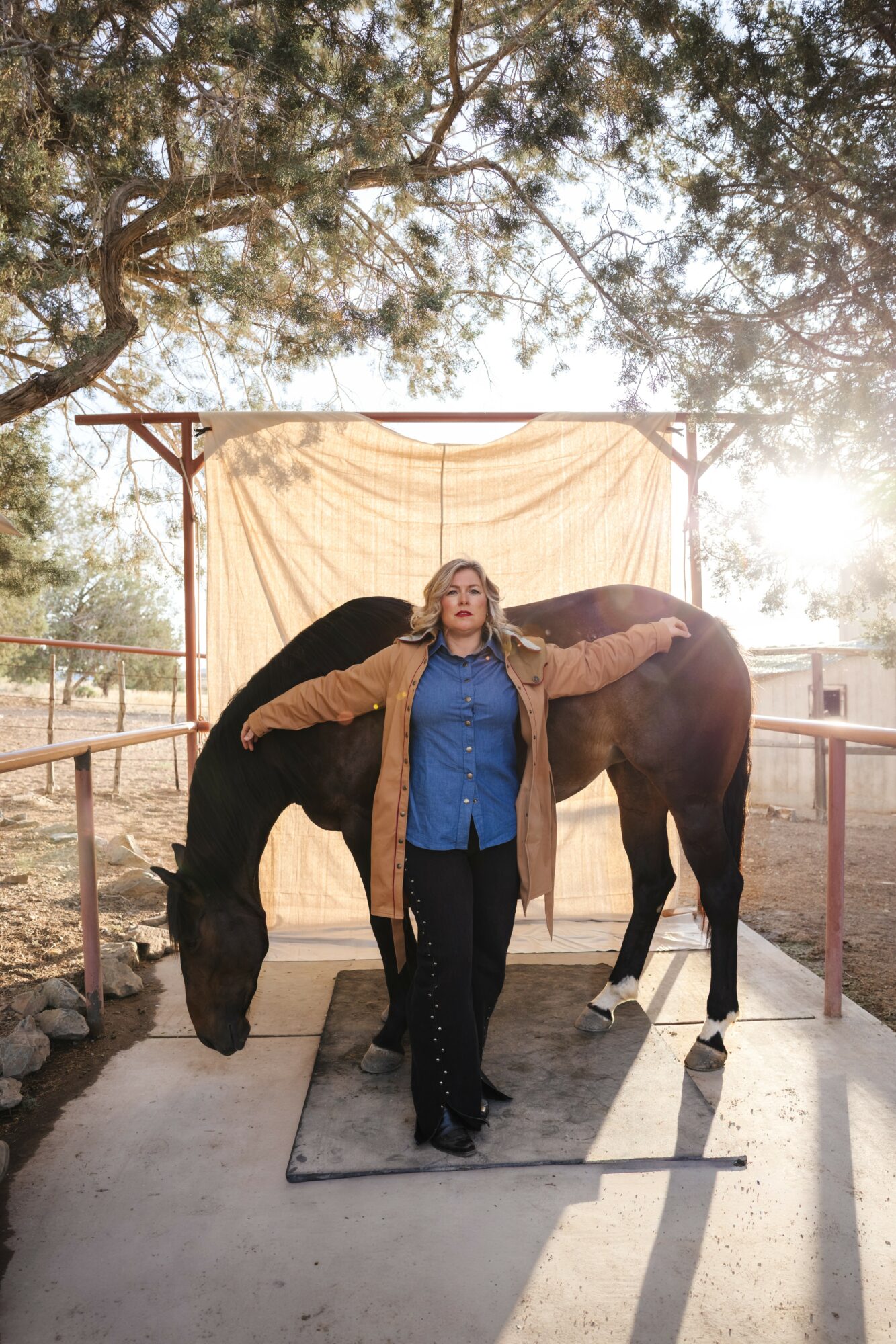 Person standing between two horses, holding their heads, outdoors with trees and sunlight, fabric backdrop behind them.