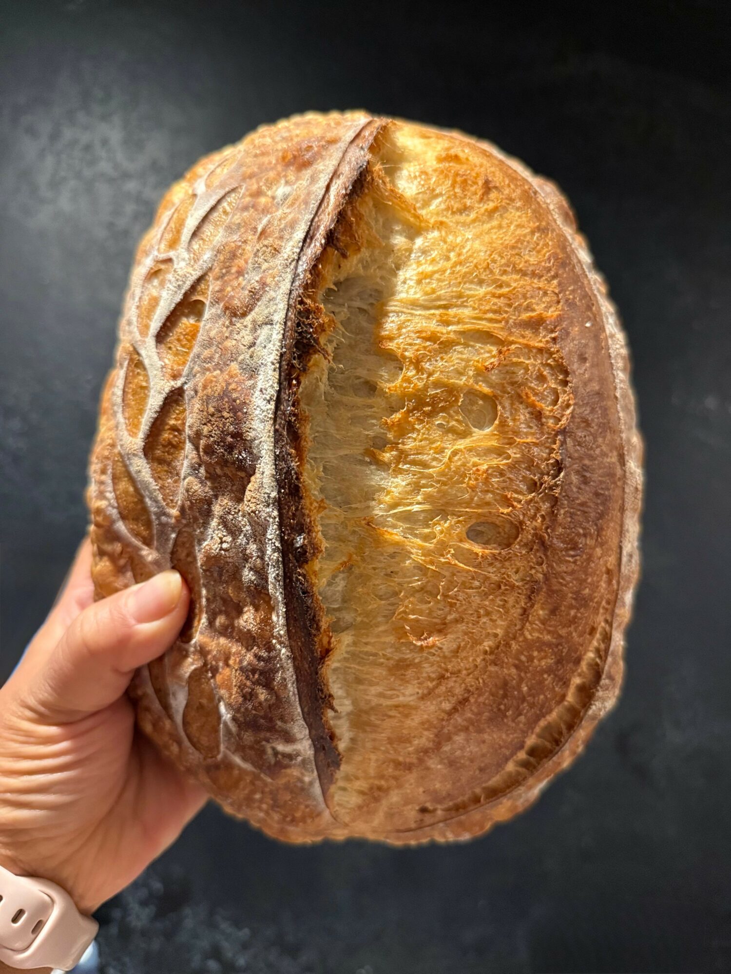 Hand holding a round loaf of bread with a crusty exterior and a soft, airy interior, against a dark background.